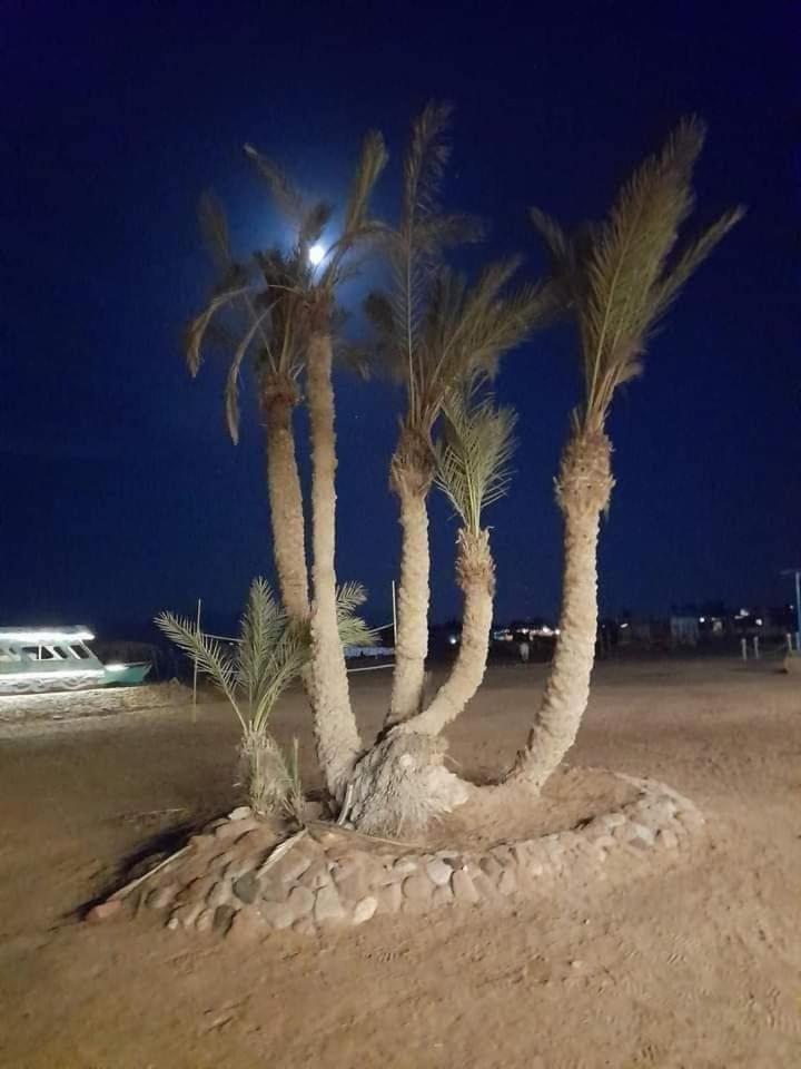 Nuweiba Oasis Ξενοδοχείο Εξωτερικό φωτογραφία